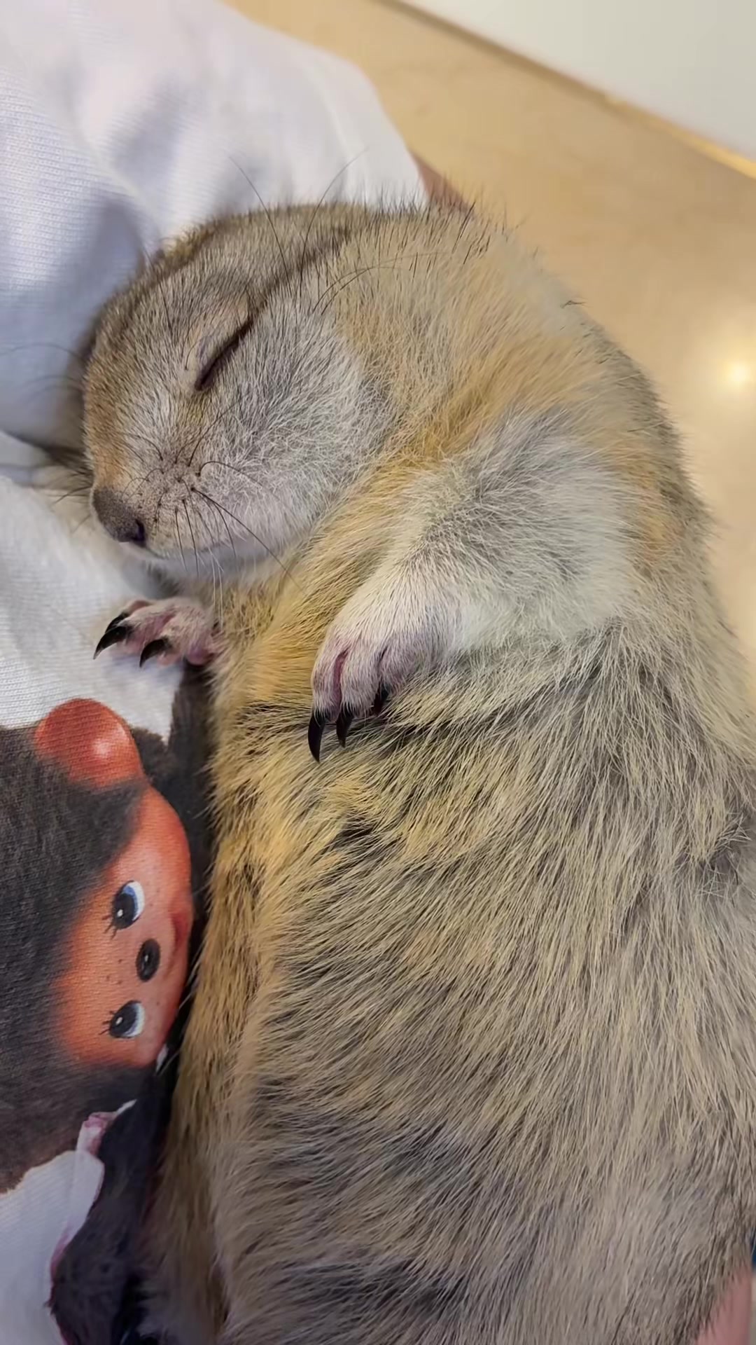 @bisukun