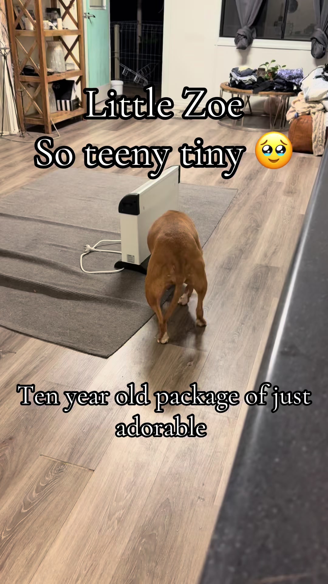 @Judd (just us deserving dogs)