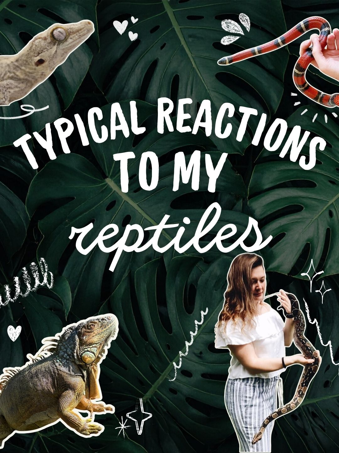 @ZA Reptiles