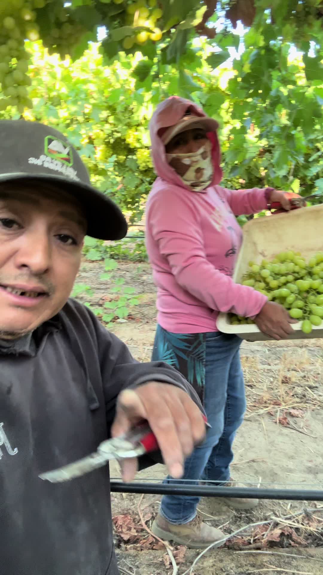 @chiquilin Mart&iacute;nez Vlog