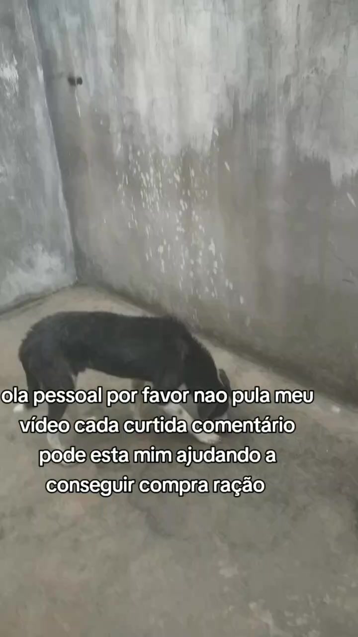 @C&atilde;ozinhoabandonado