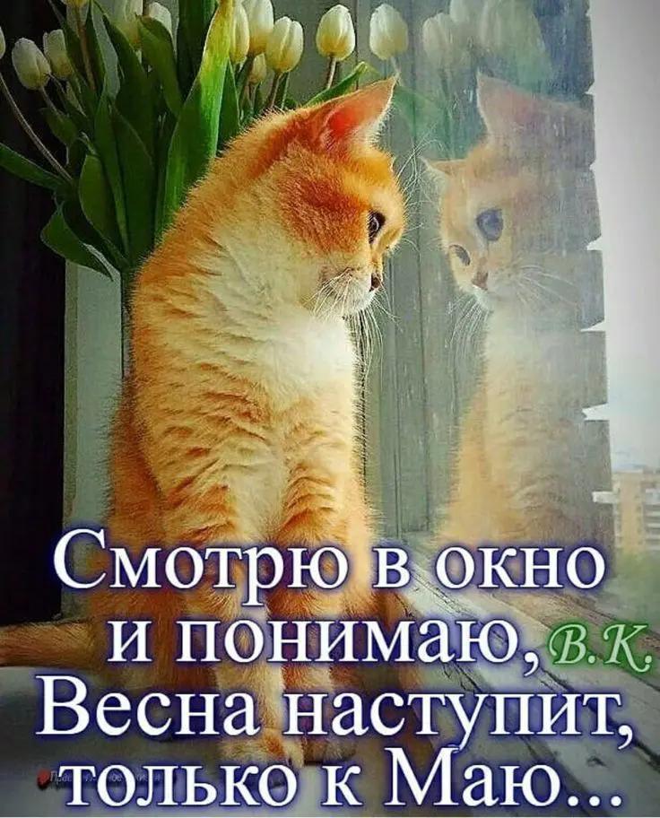 @Макс ✔️