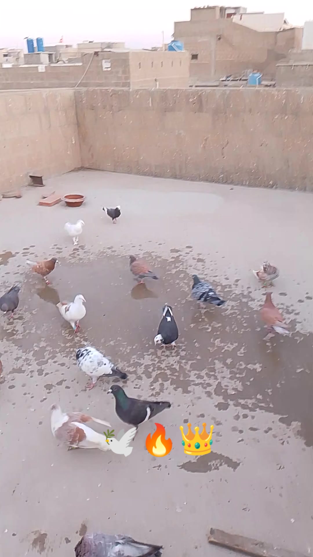 @Imran Muhajir 👑🇵🇰