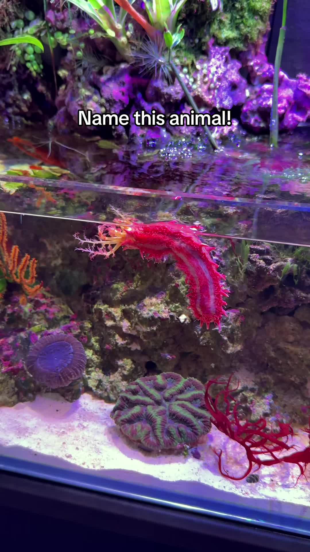 @Danny&rsquo;s Aquariums