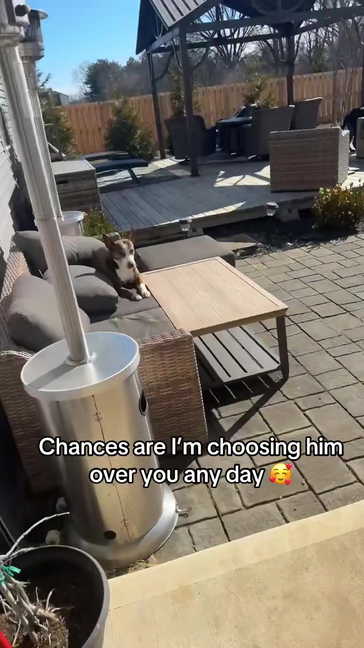 @Tay.