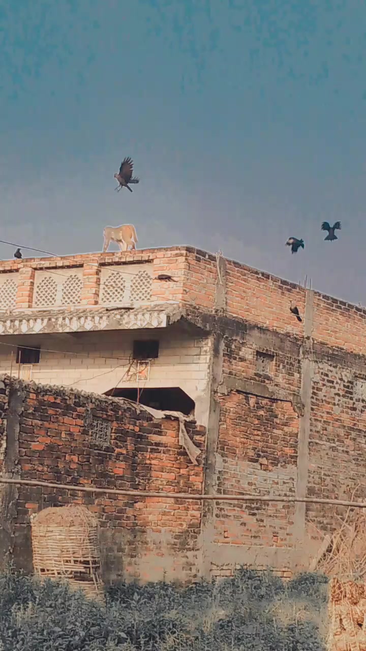 @ritik yadav45