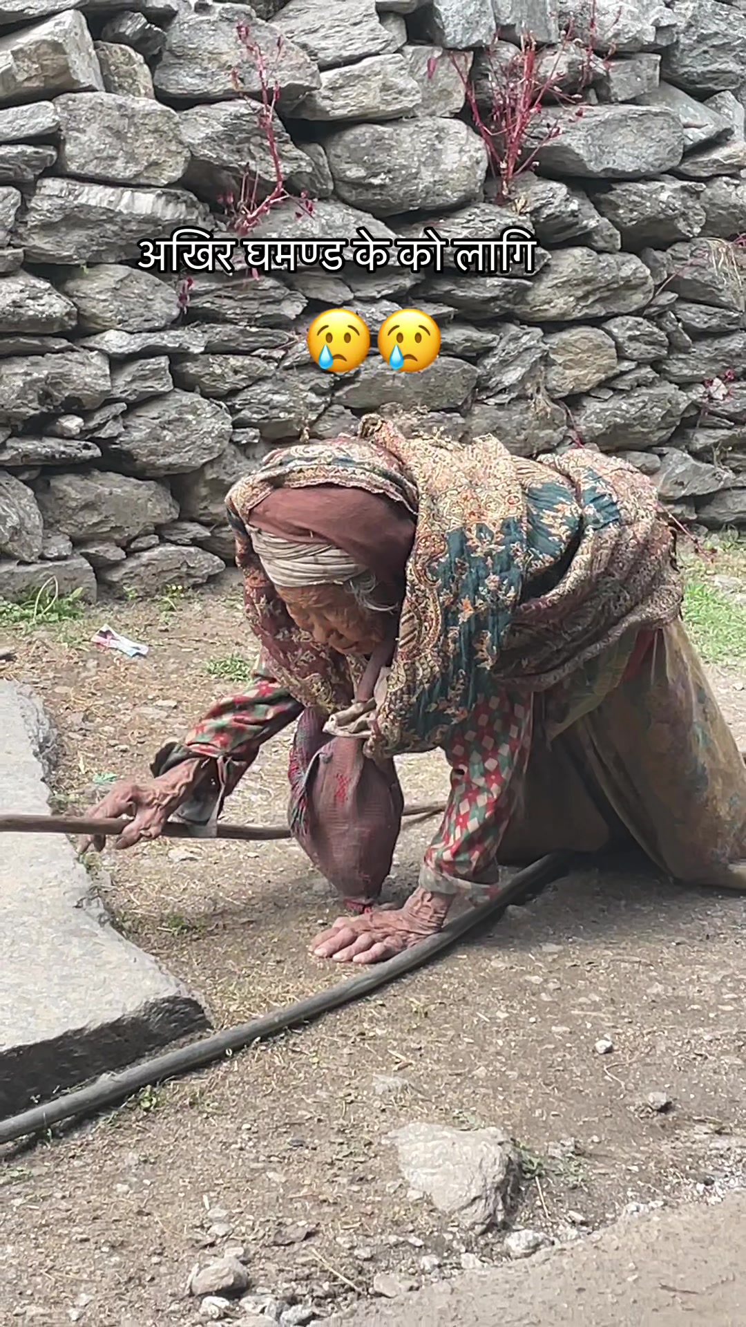 @라이시원