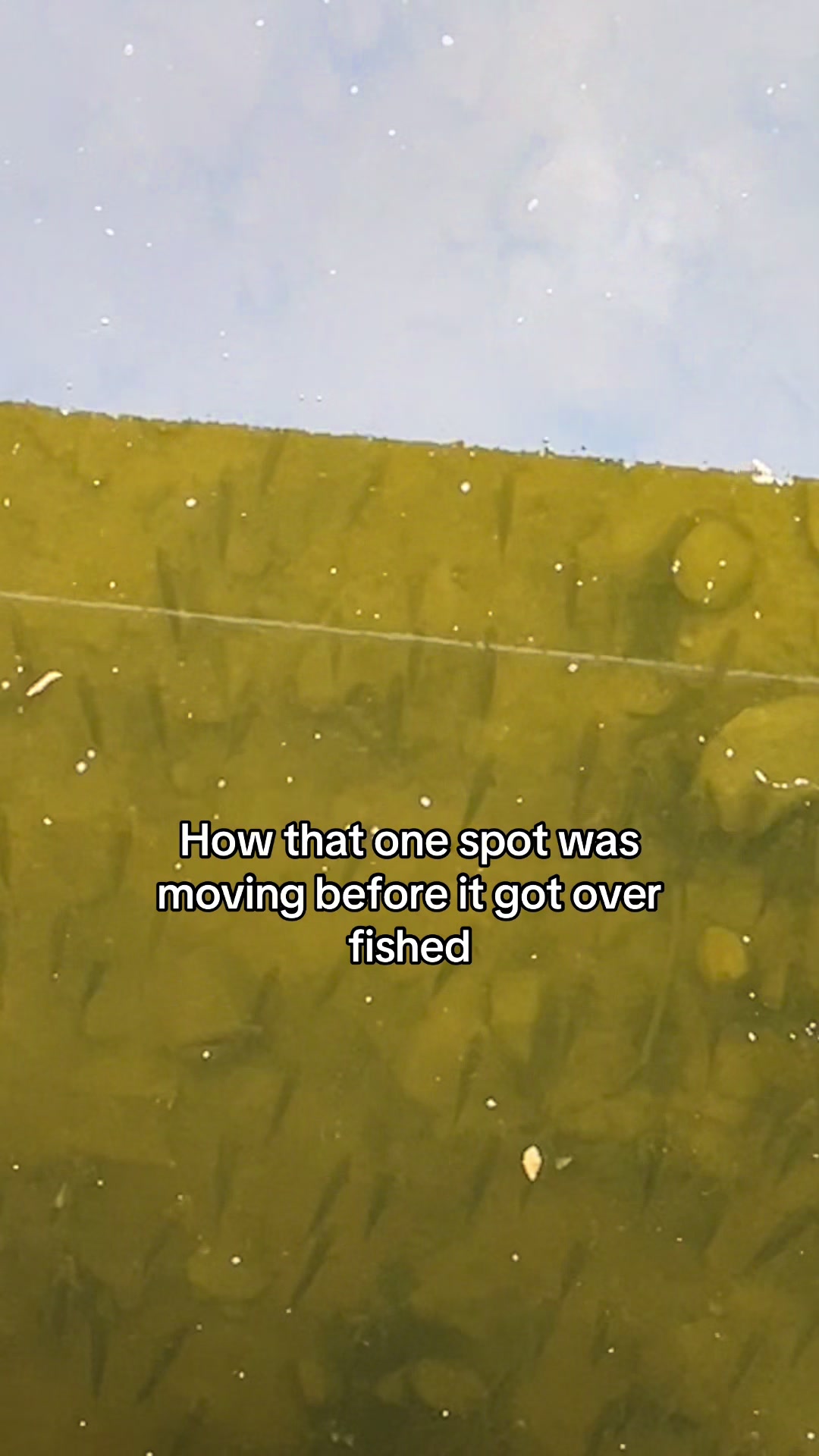 @218 fishing