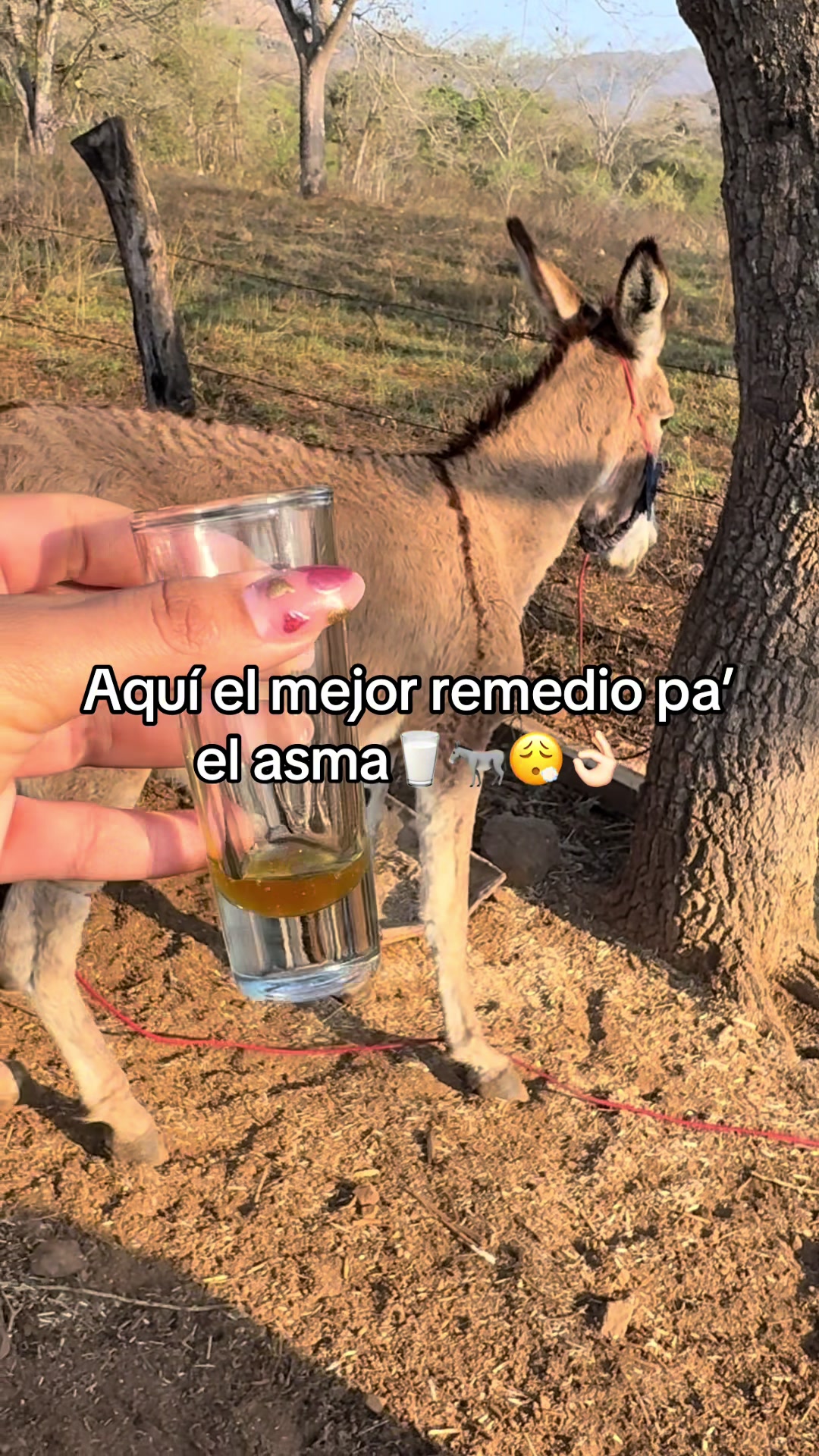 @Marichuy Cuevas🦋