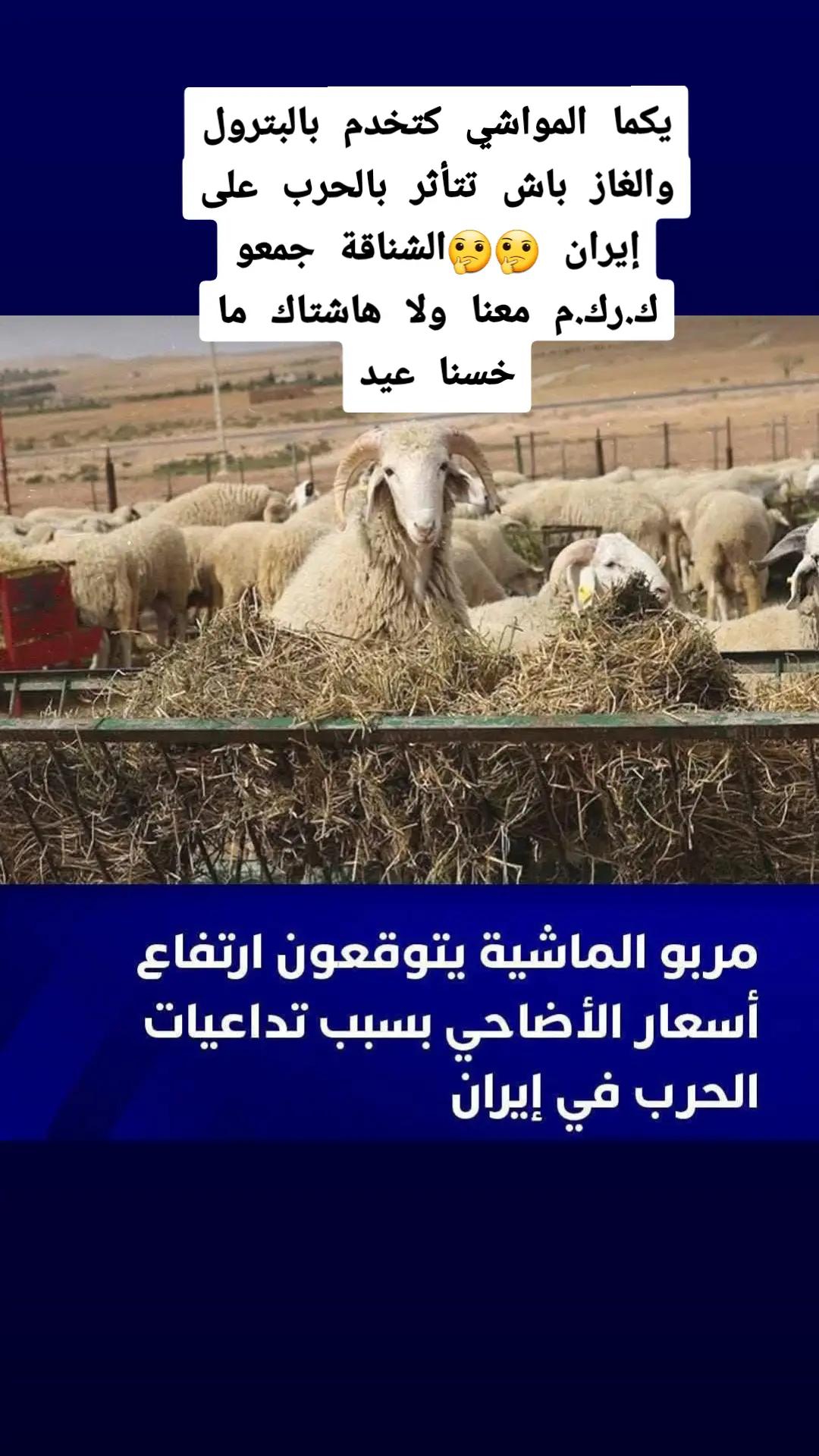@حركات سعيد
