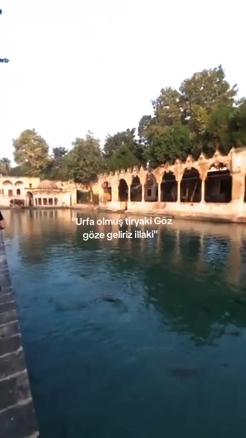 @𝐻𝒜𝐿𝐸𝐹