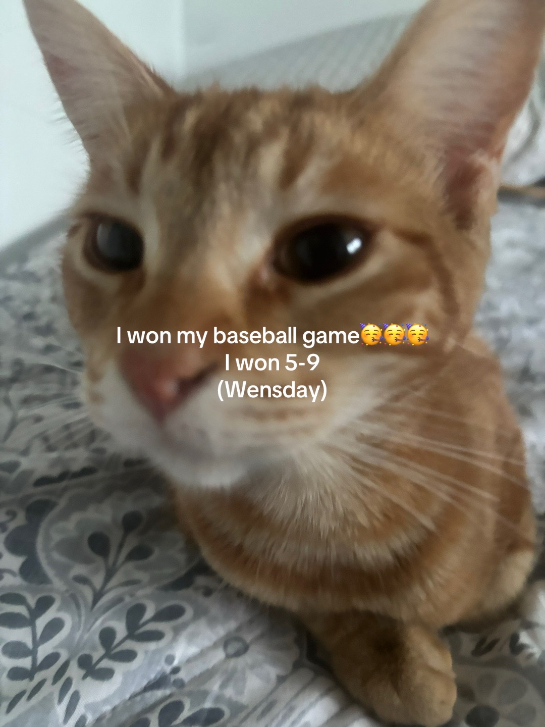 @爱