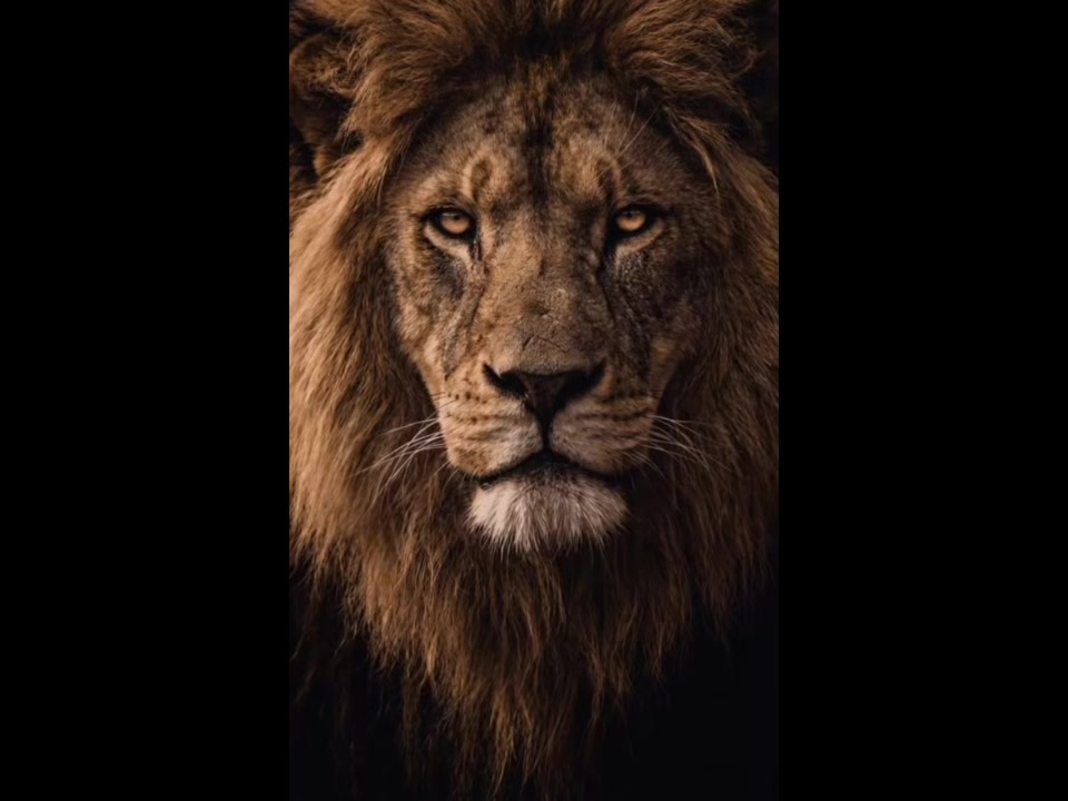 @Thoughtfull quotes