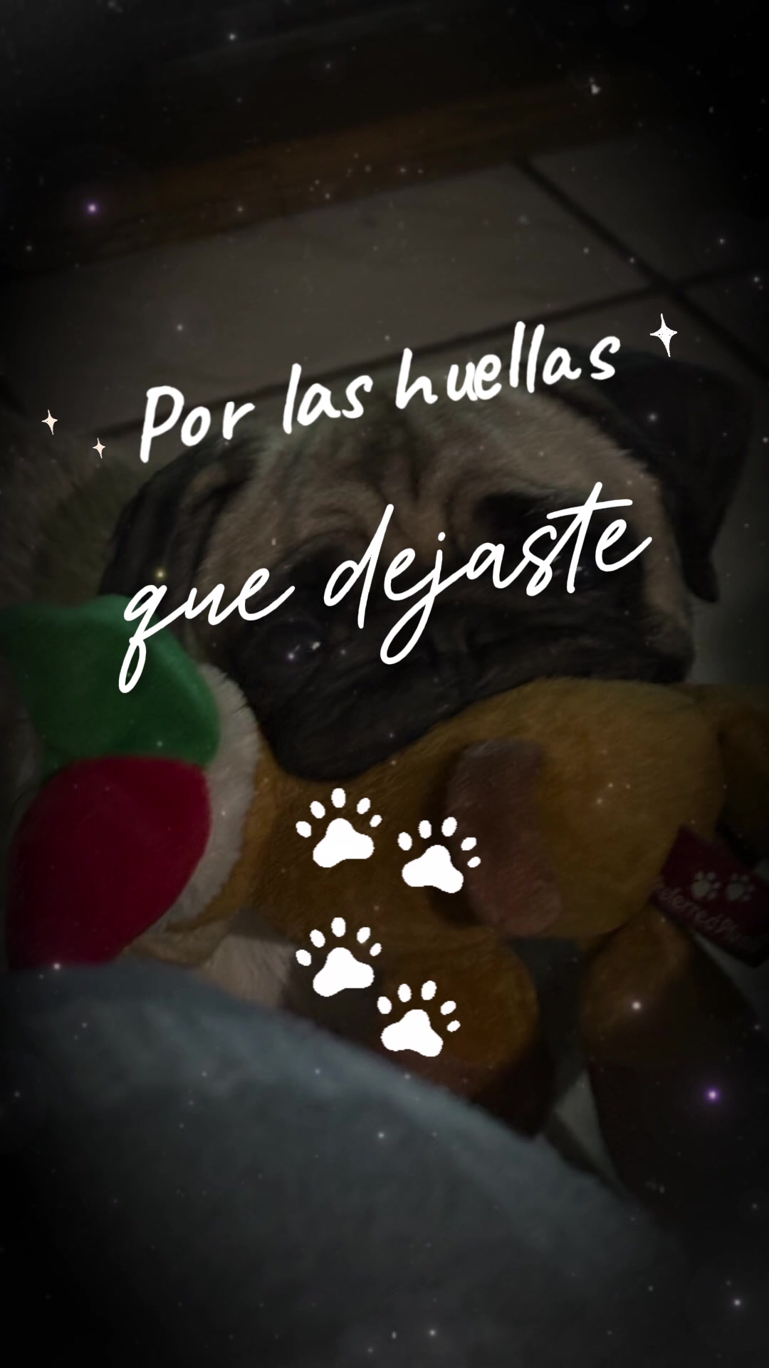 @yessy♡♡