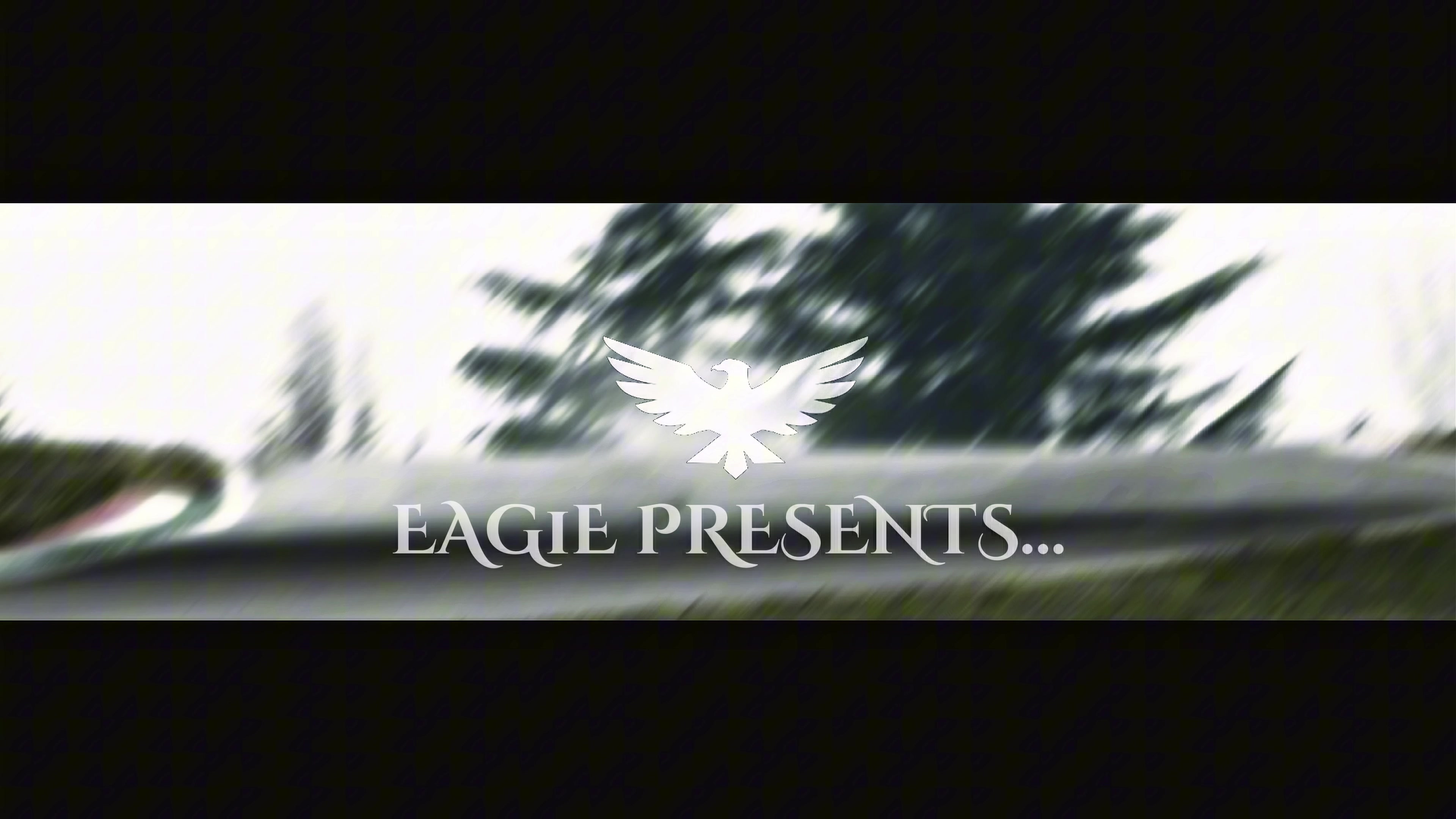 @Eag1e
