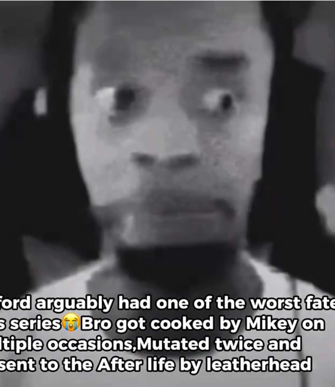 @yolo