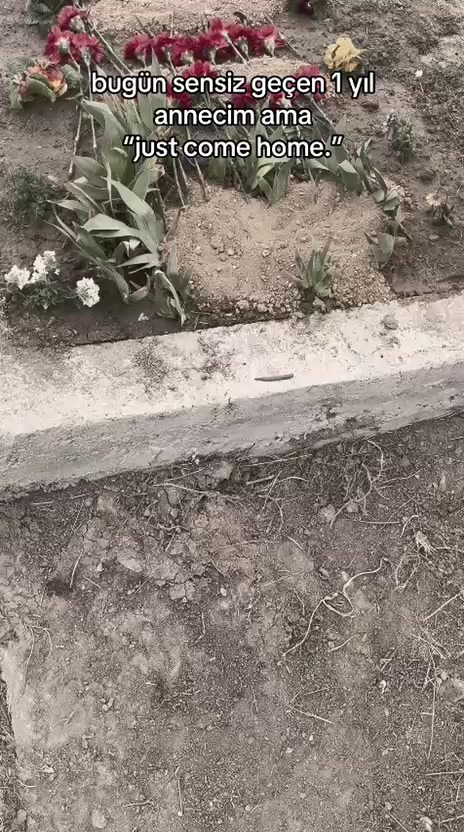 @_Samed_ G&ouml;ktaş_