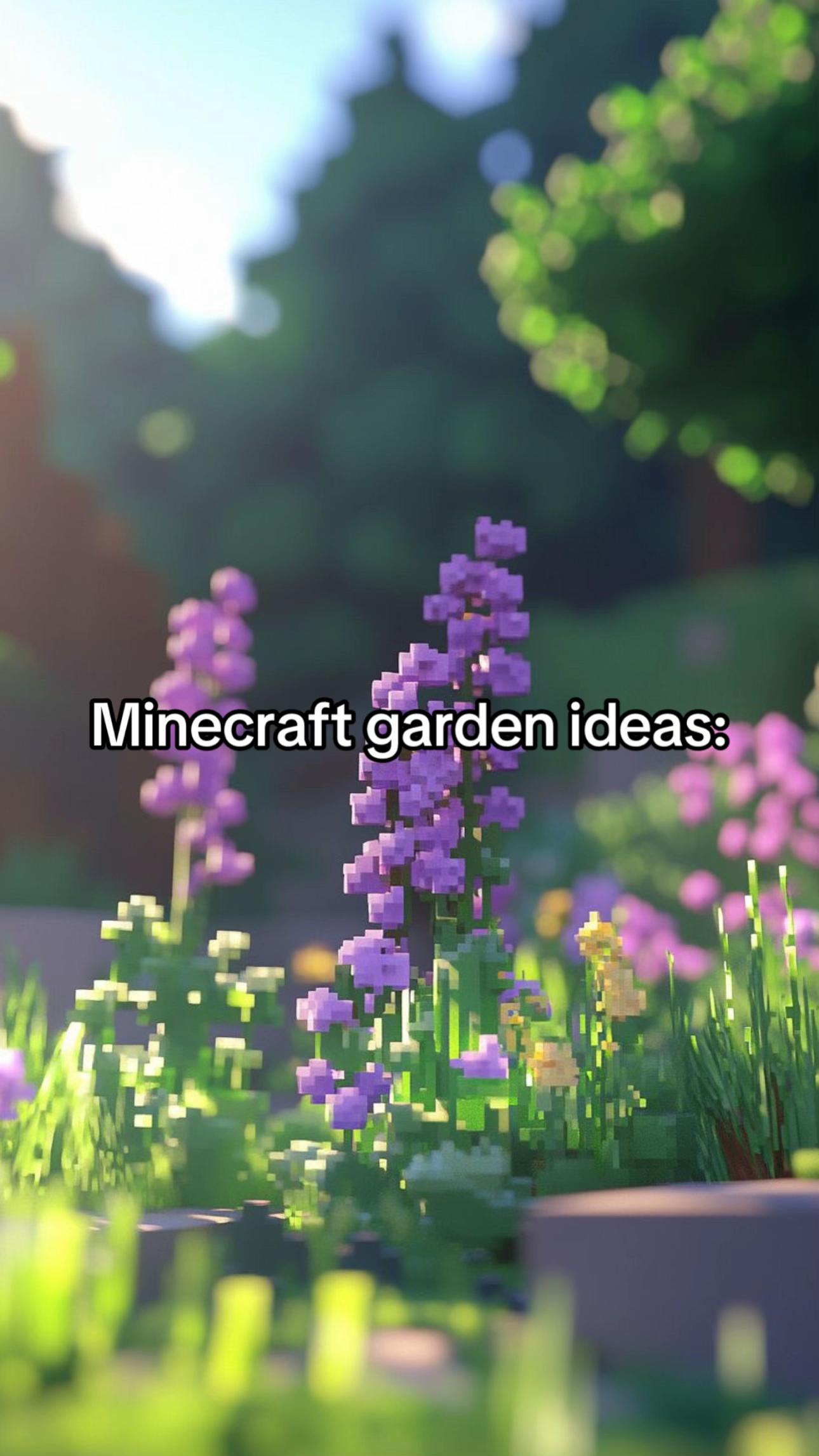 @Minecraftdailyy