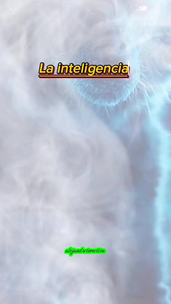 @Alejandro🐺te🦅motiva