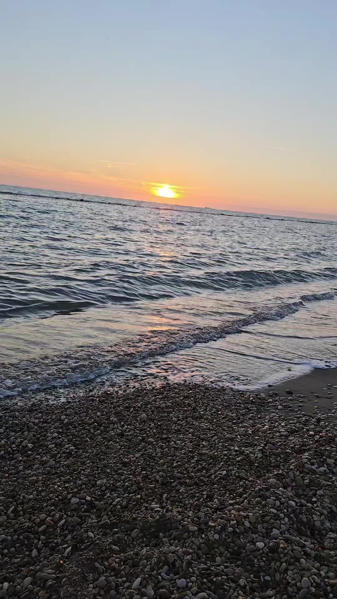 @Anamaria🇷🇴🇮🇹🦂