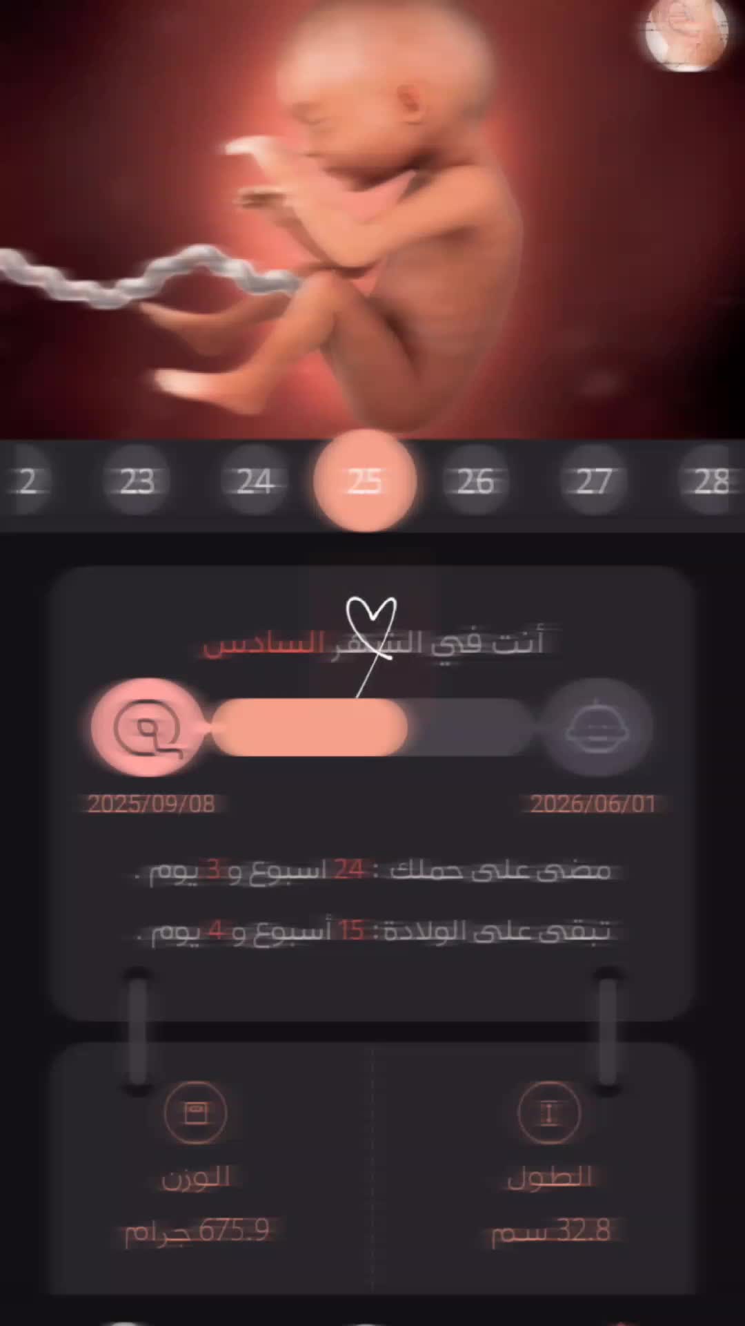 @أميرة بأخلاقي 👑😌