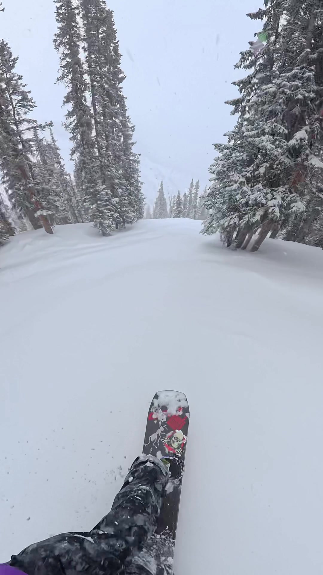 @Search of Snowboarding