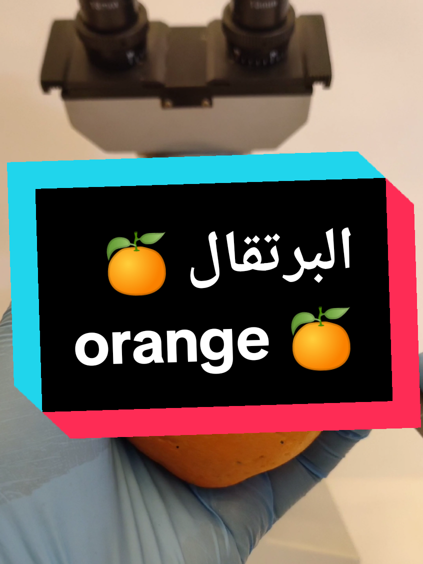 @AONE | Abdullah Sultan
