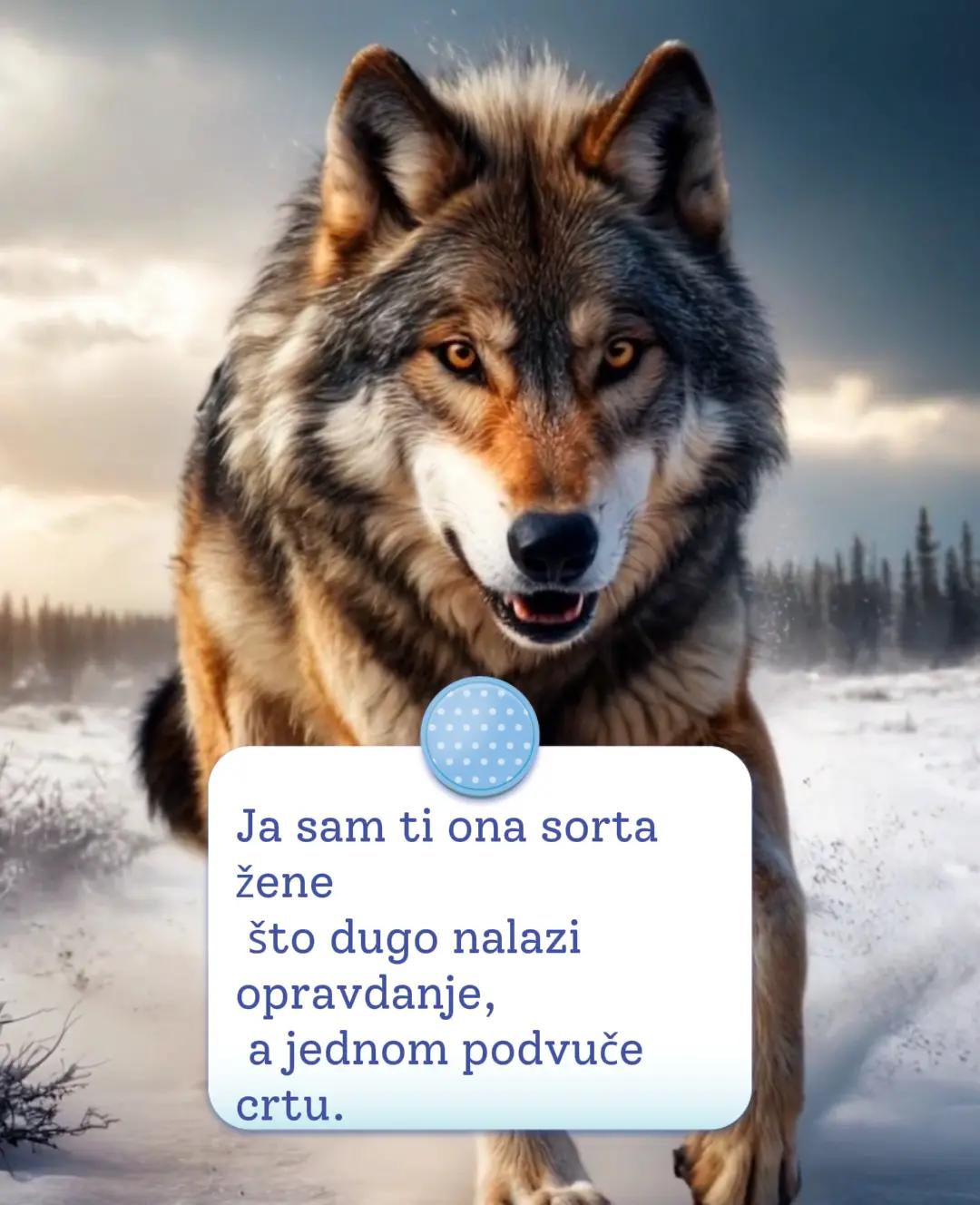 @🍀Goga🐻