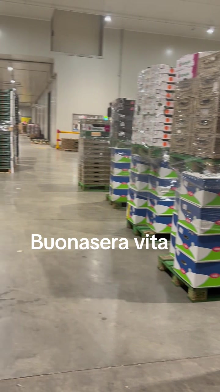 @scugnizzo 69