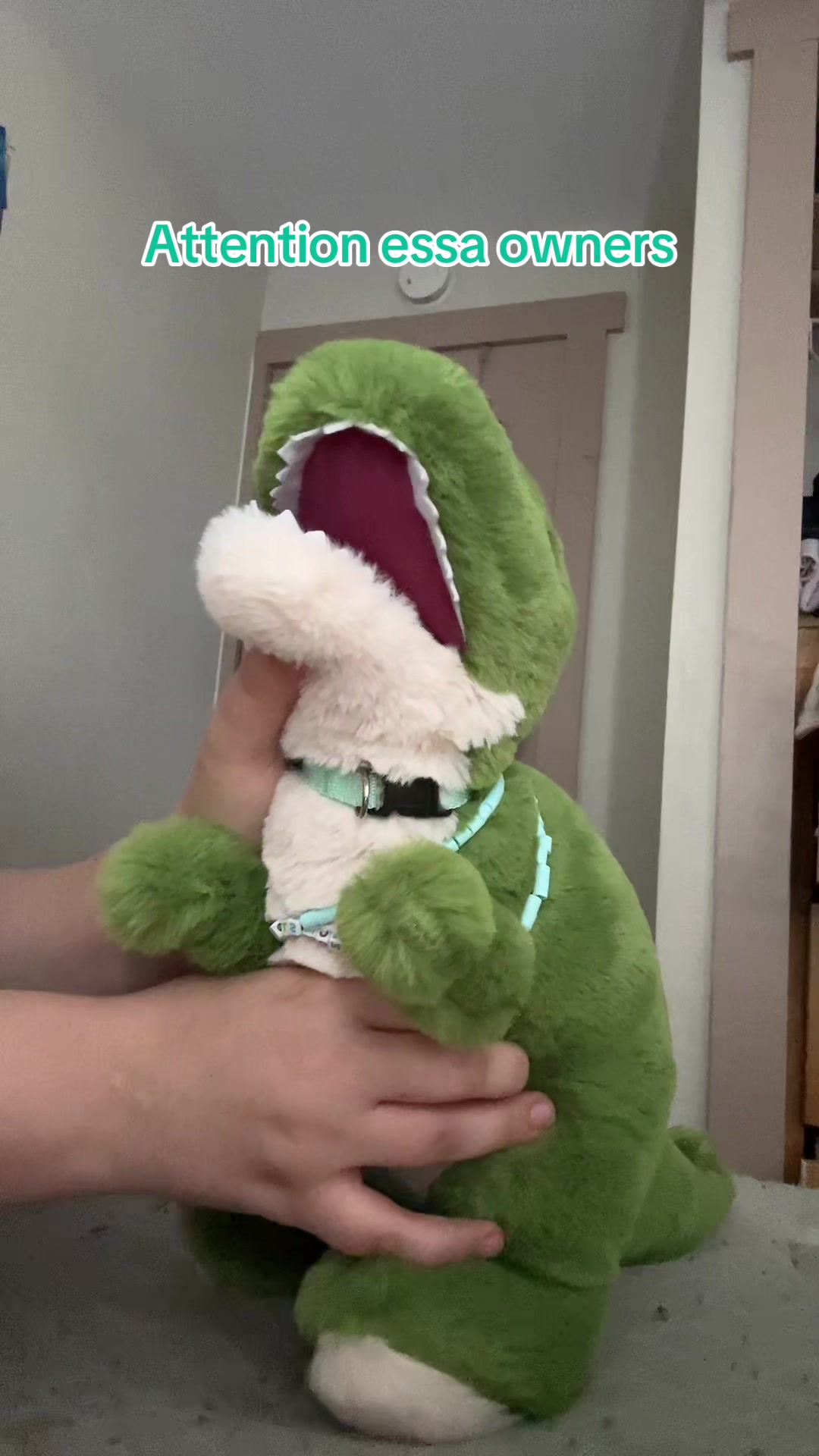 @🧸🐕 𝓜𝓲𝓽𝔃𝔂/𝓼𝓪𝓶 🐕🧸