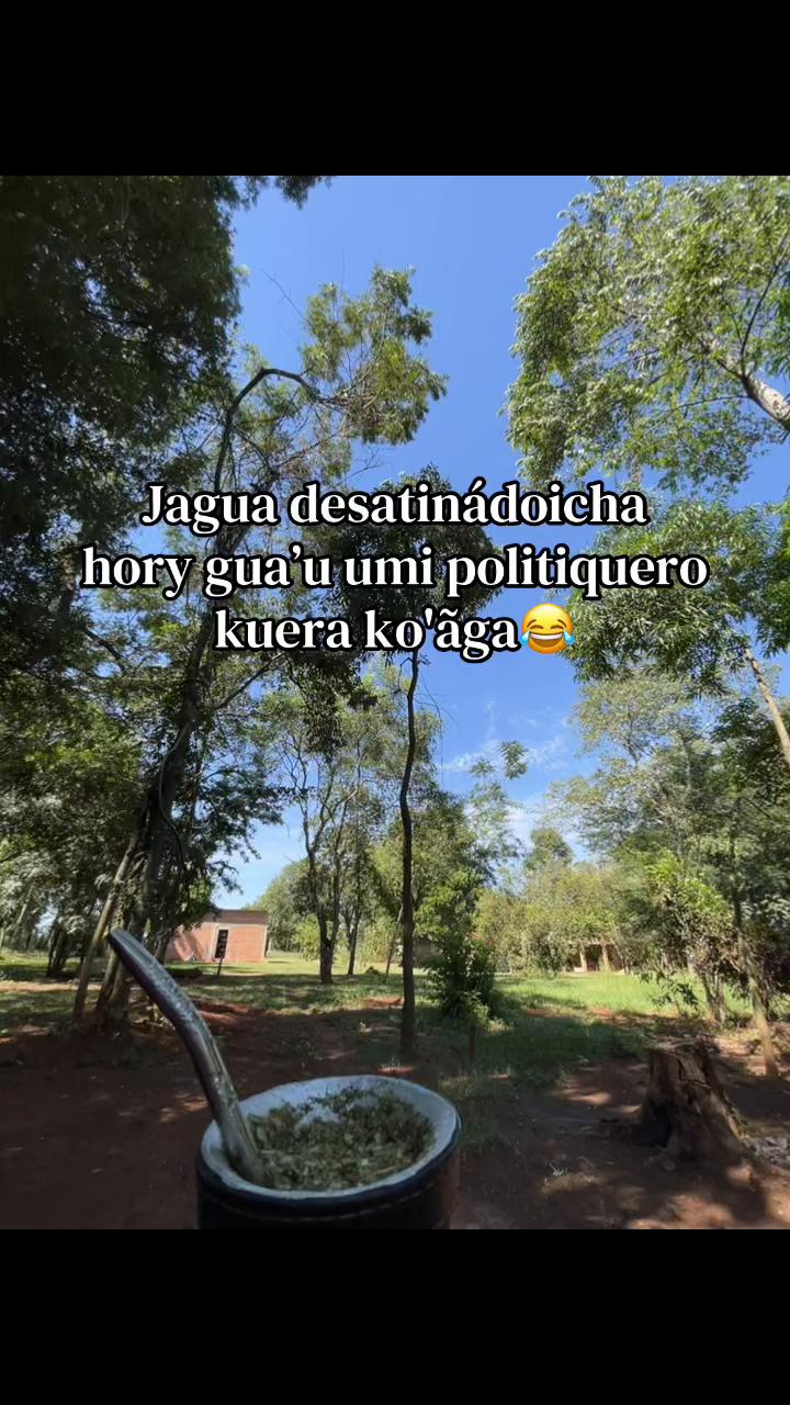 @𝐆𝗂𝖼-𝐕𝗂ᥣᥣ&alpha;ᥣᑲ&alpha;1111🌼