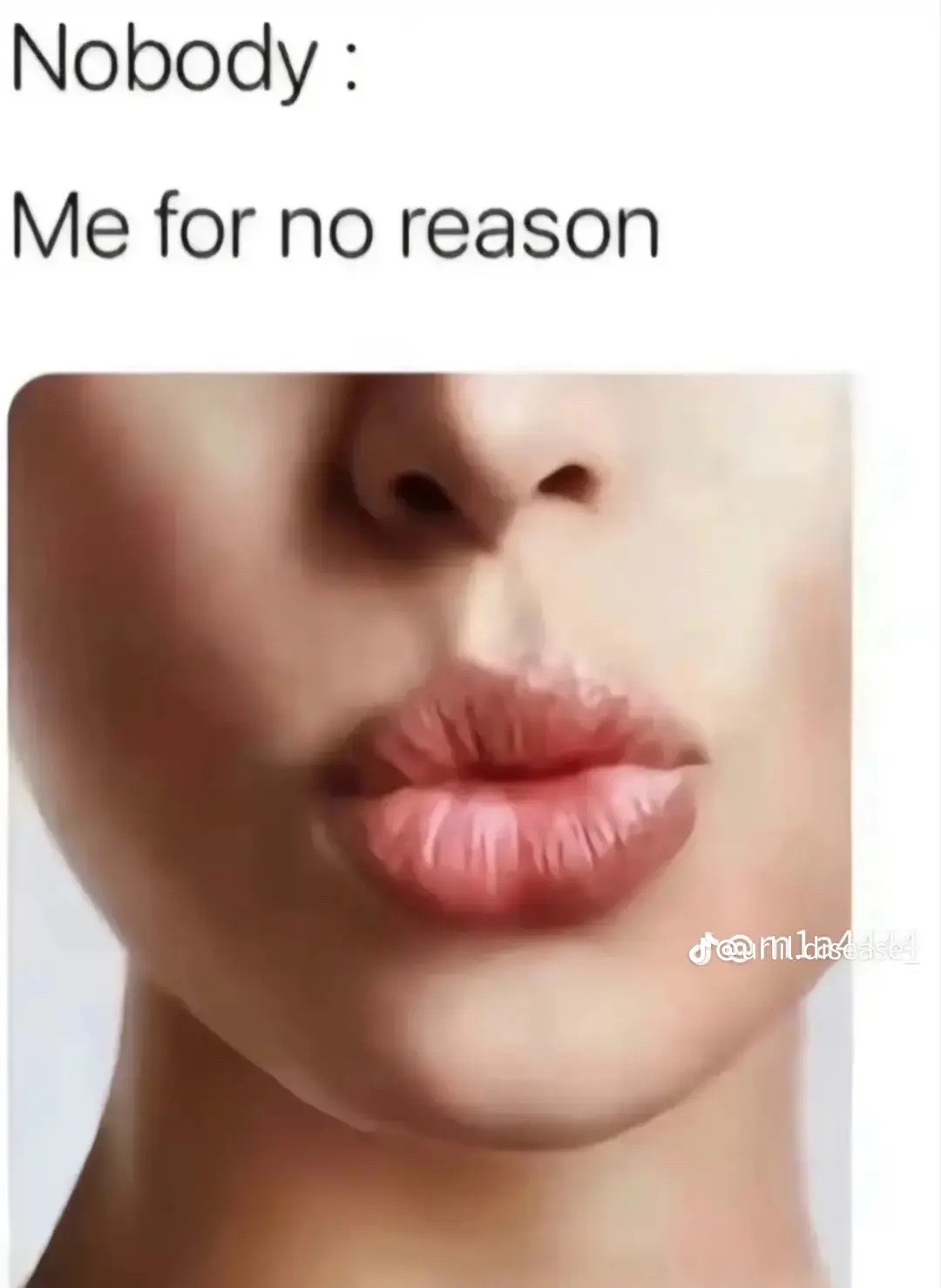 @mylittlesecret1001_