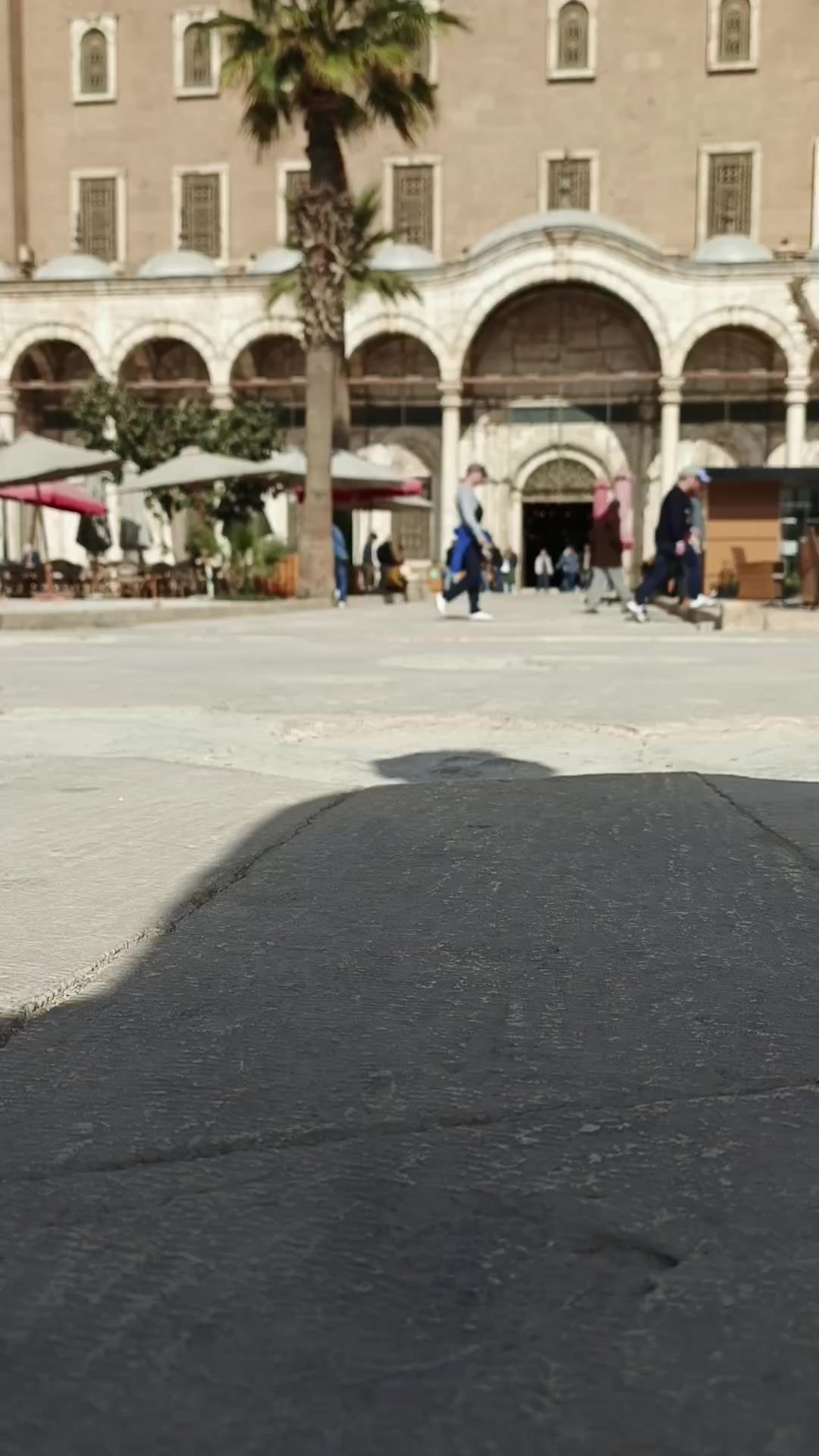 @claudiaayuso510