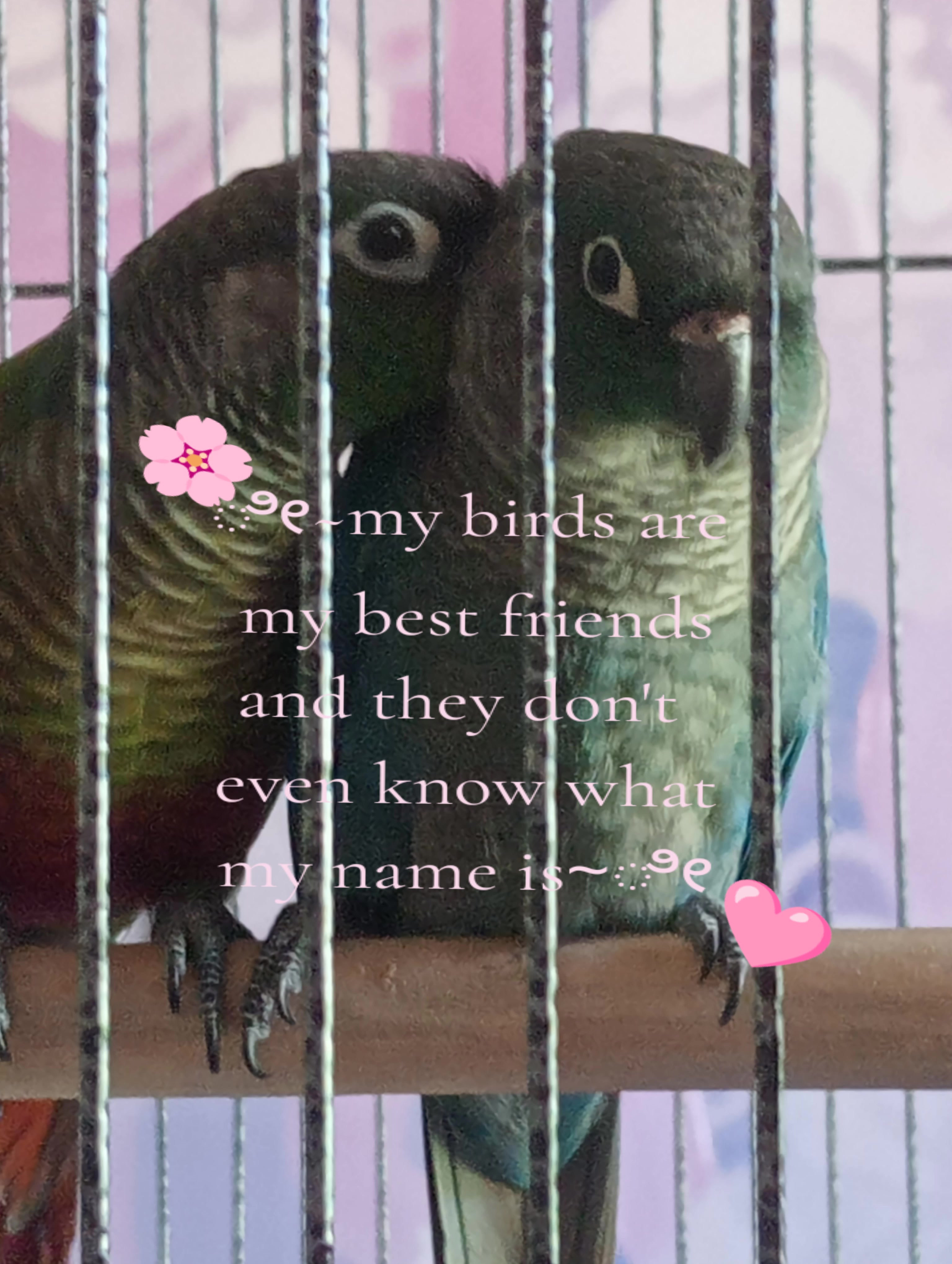@⋆˚꩜｡Lilly⋆˚꩜｡