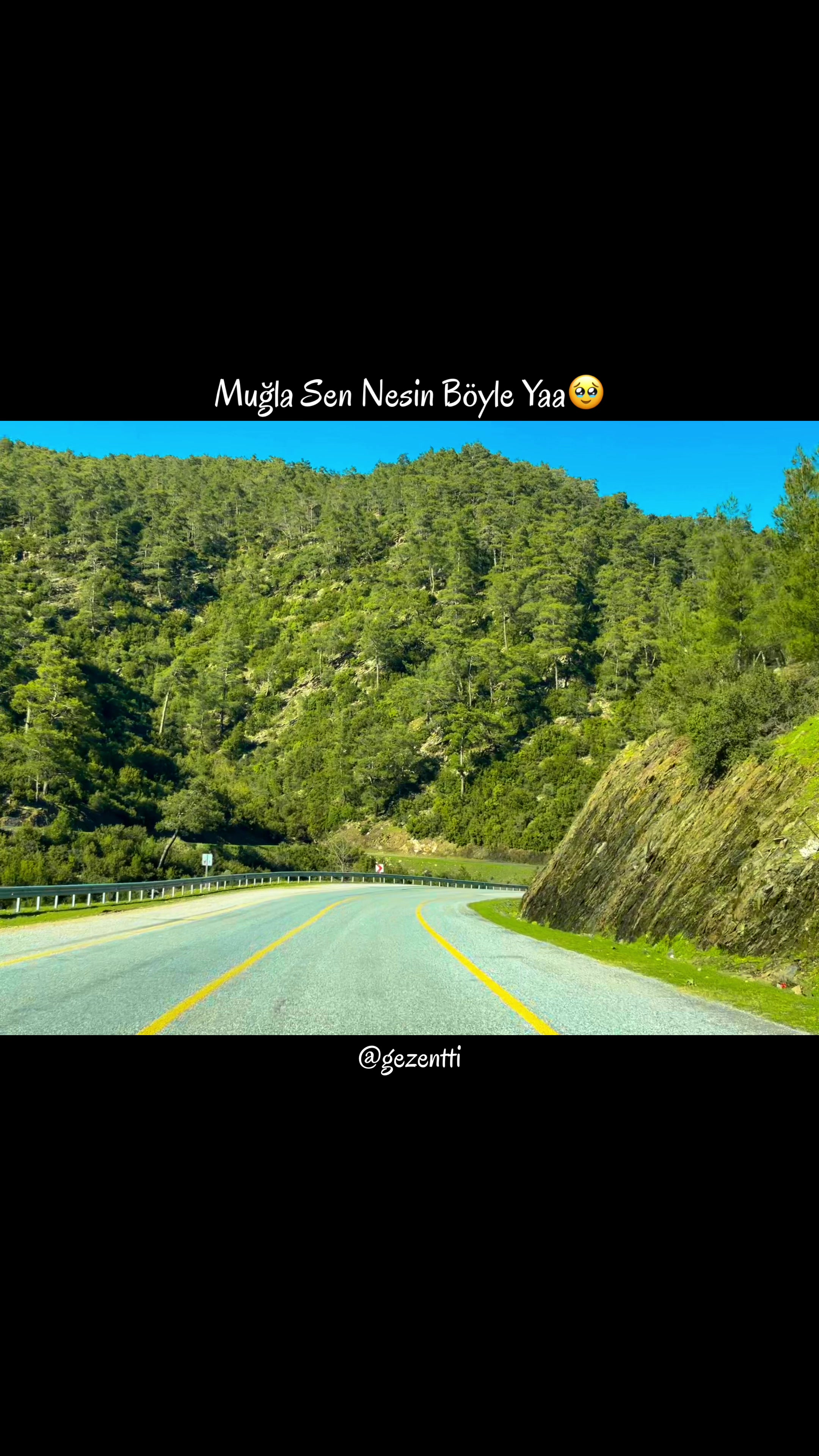 @gezentti