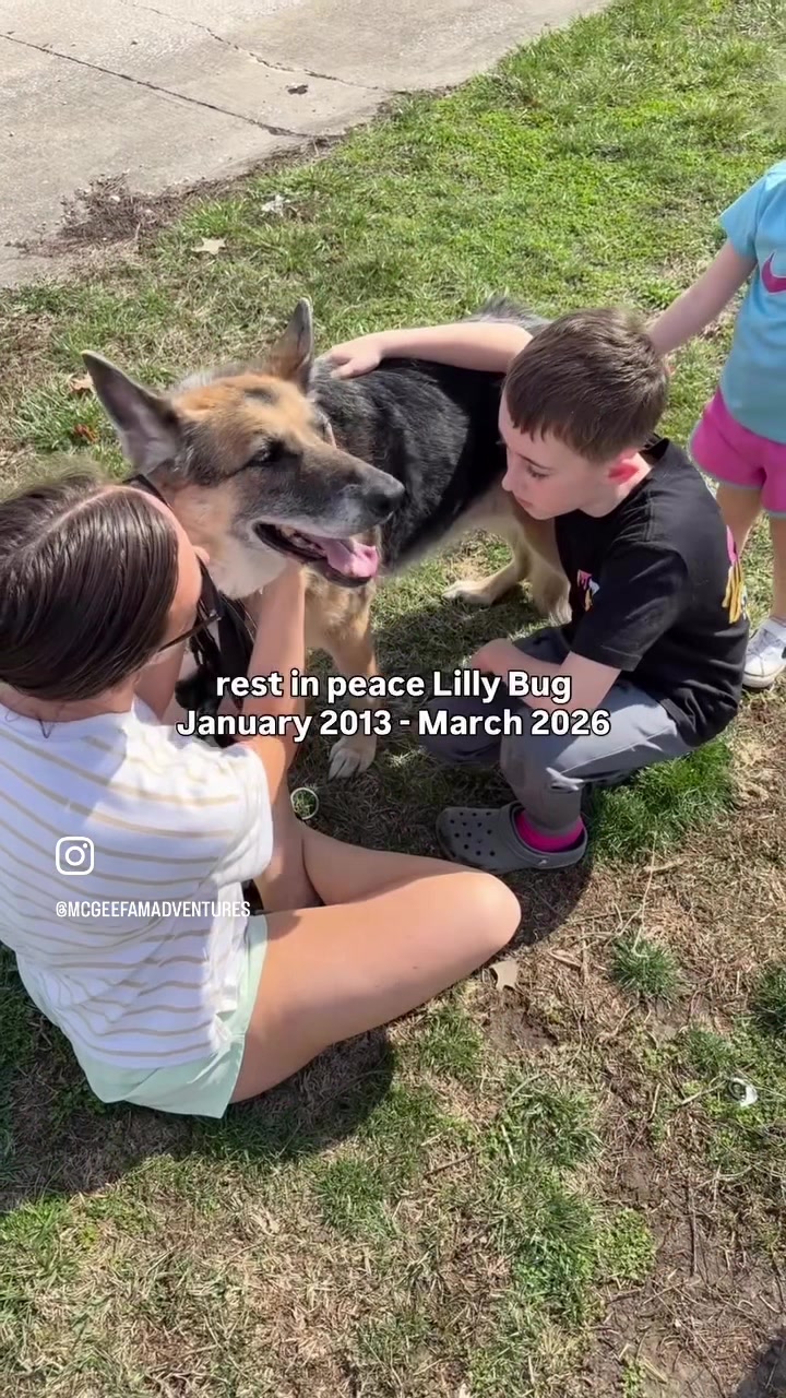 @mcgeefamadventures