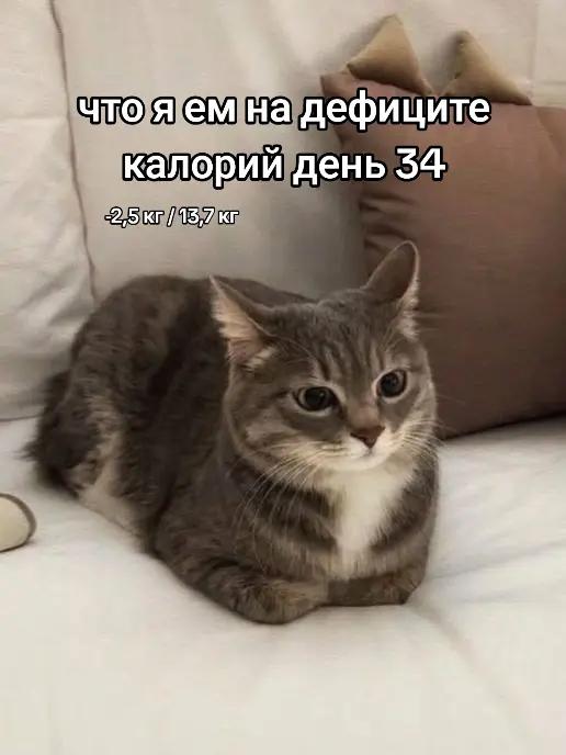 @iN^ГВОЗДЬ