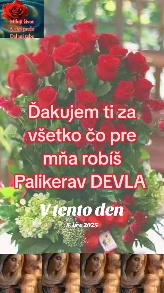 @꧁⋆EVA ⋆E*D❣N⋆NIKOL⋆꧂