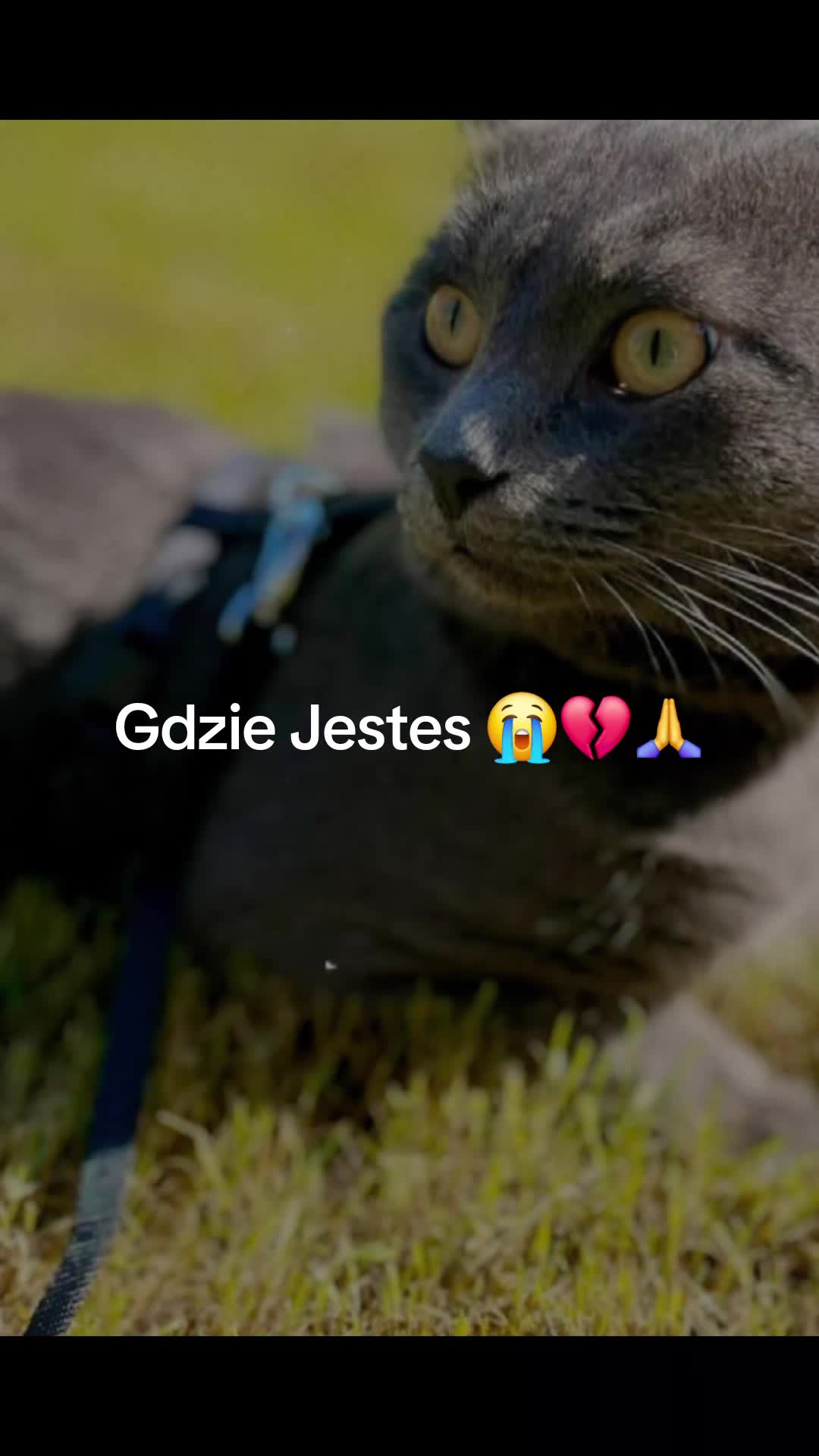 @Mała🫧