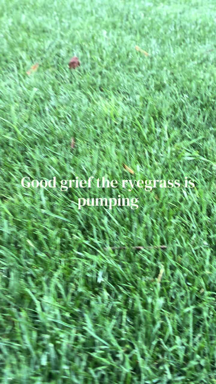 @frontporchchatter