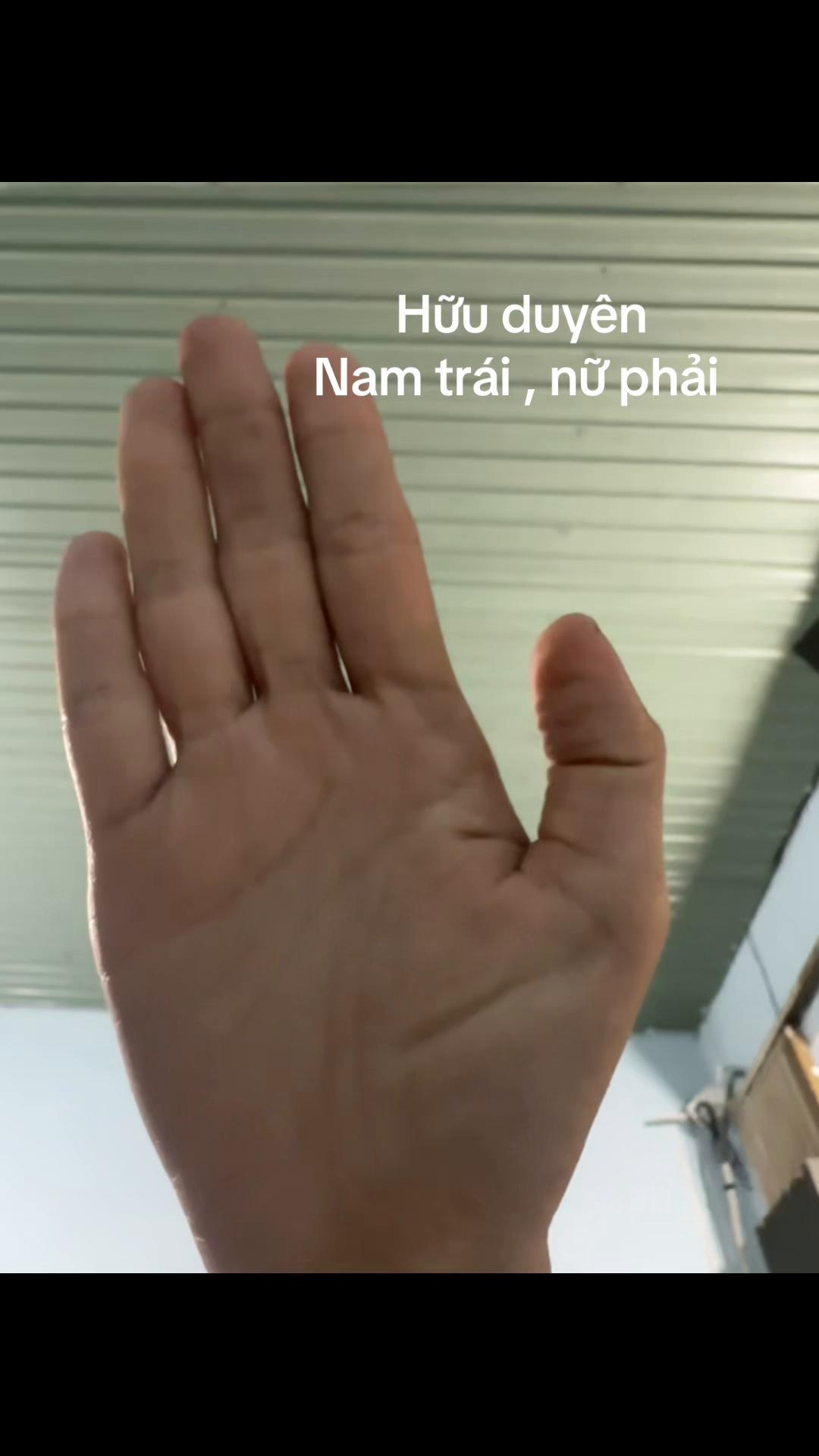 @Xem chỉ tay,tử vi(phí tuỳ tâm)