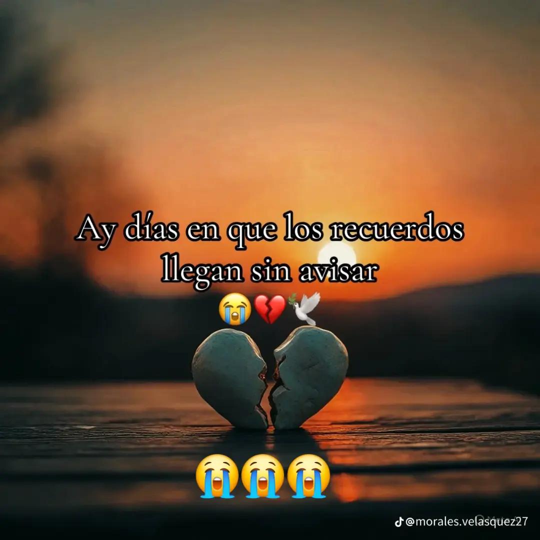 @💜🫂Nachis🥊🍀💥