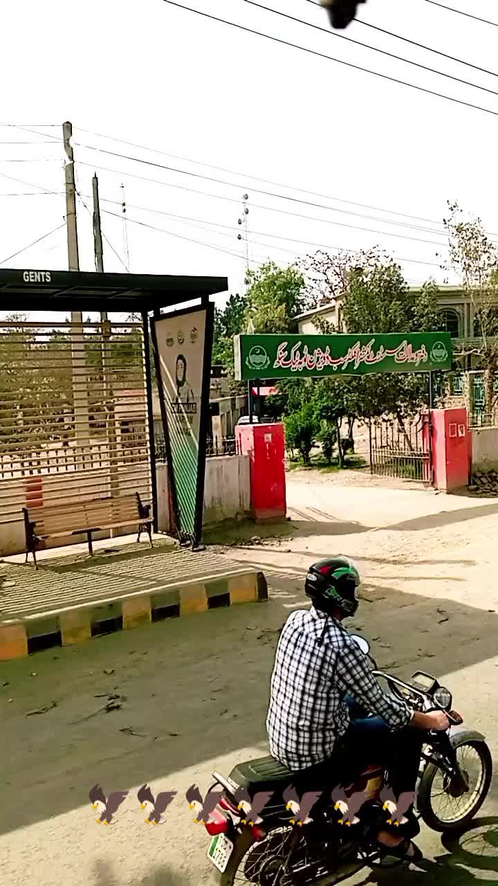 @Alam Sheer