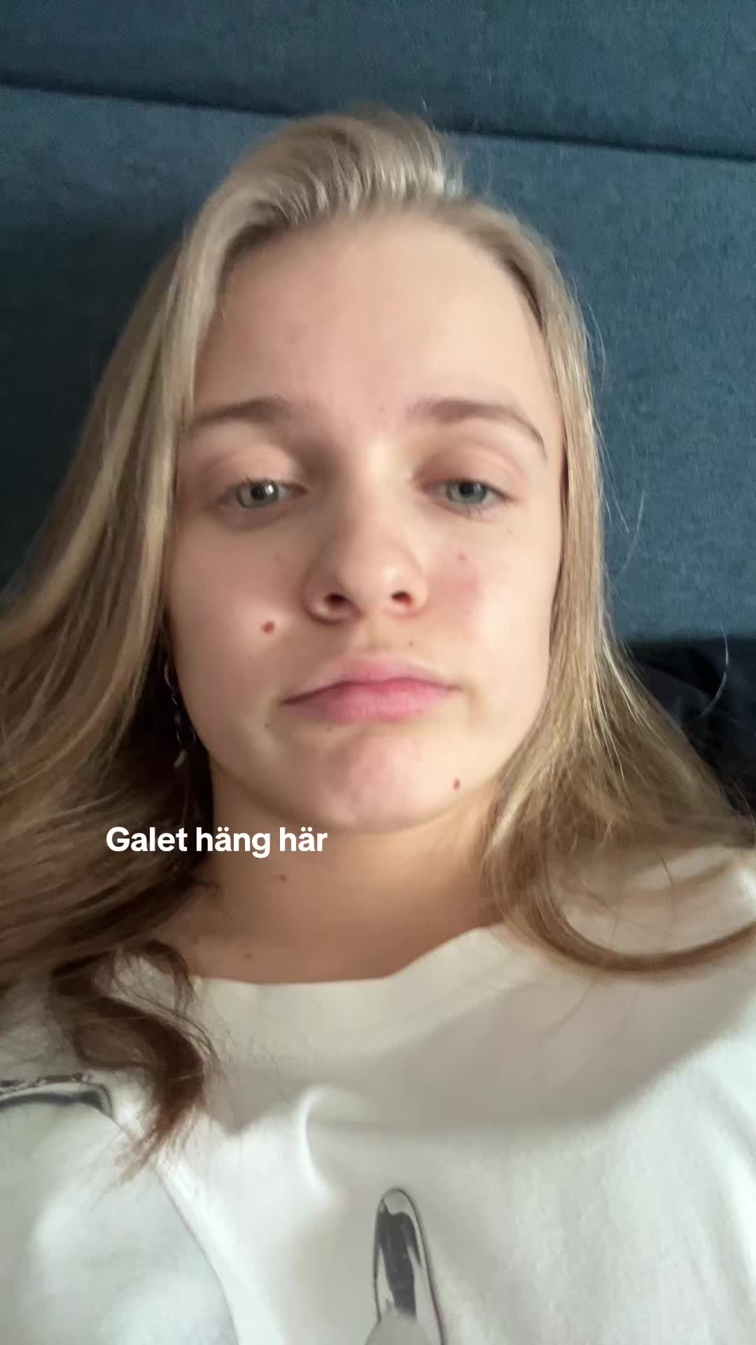 @bellaspammar