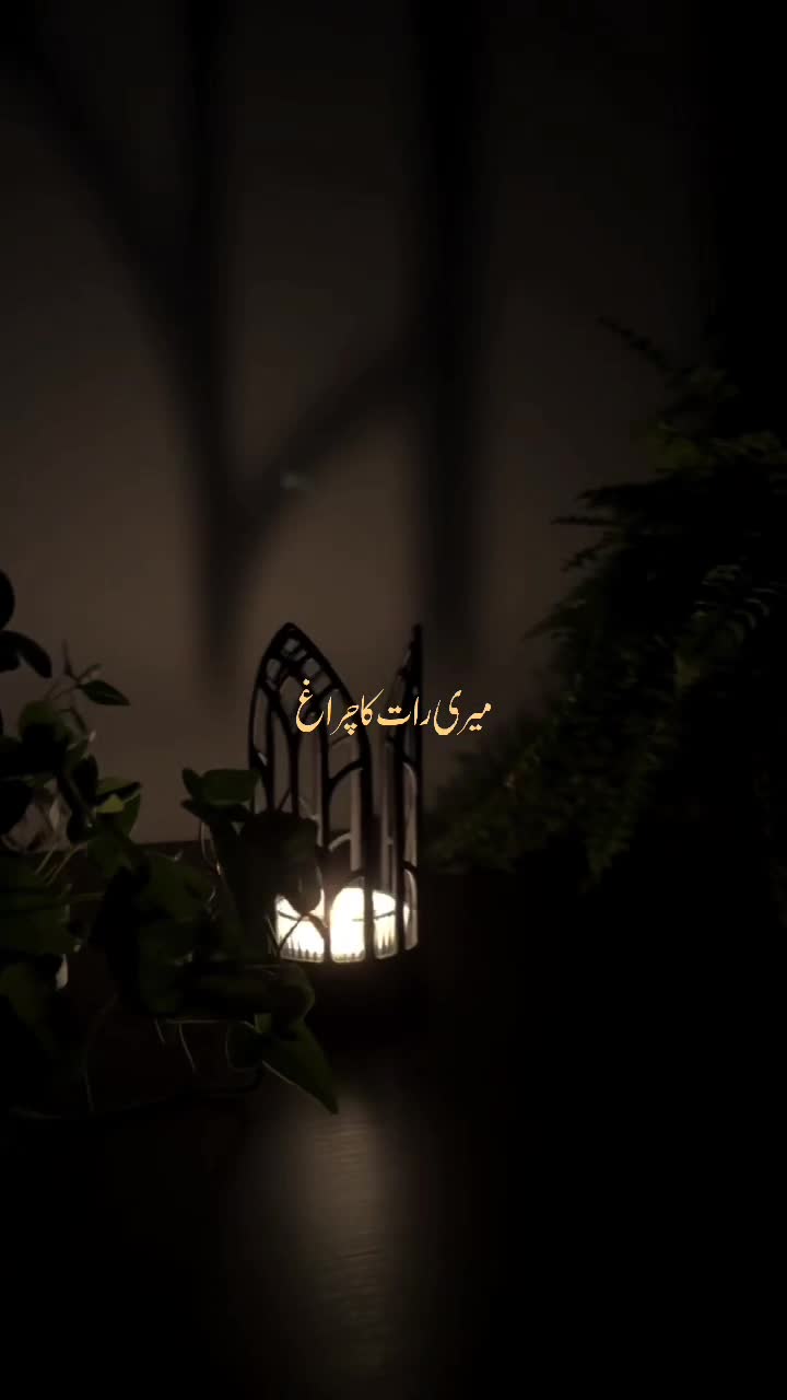 @𝐍𝐅𝐀𝐊 𝐐𝐀𝐖𝐀𝐋𝐈 🎧