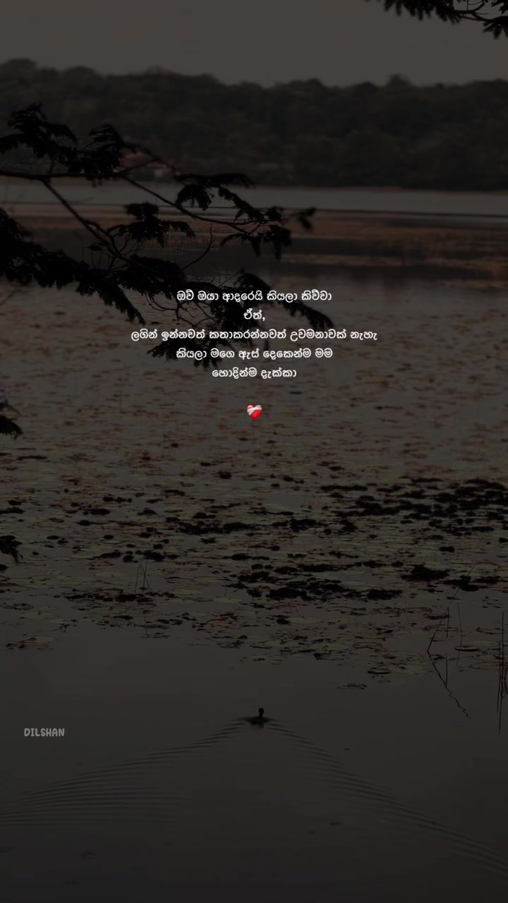 @Akalanka Dilshan 🧿📍