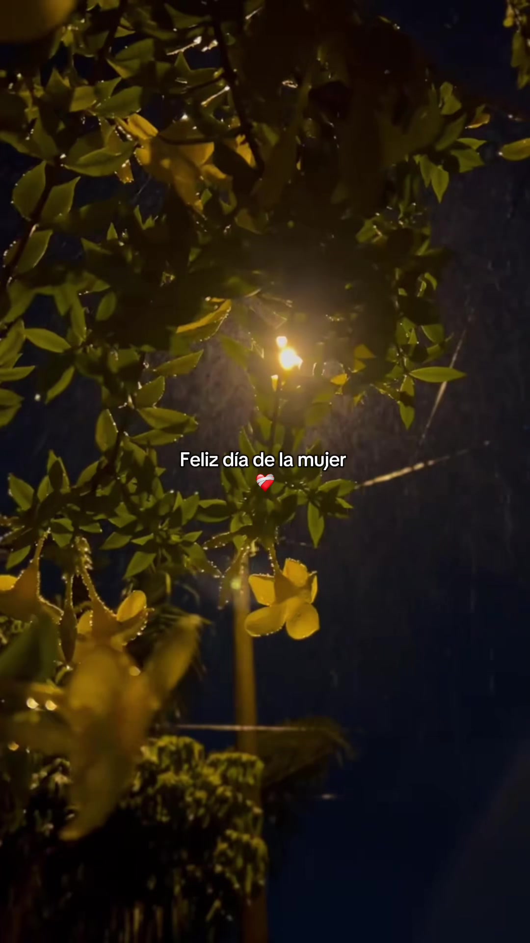 @𝙁𝙍𝘼𝙎𝙀𝙎🧃