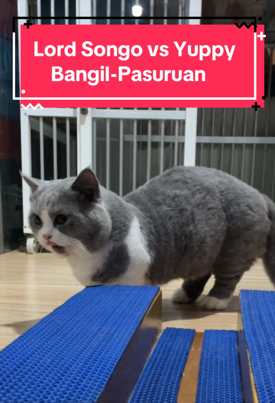 @Jasa Pacak BSH