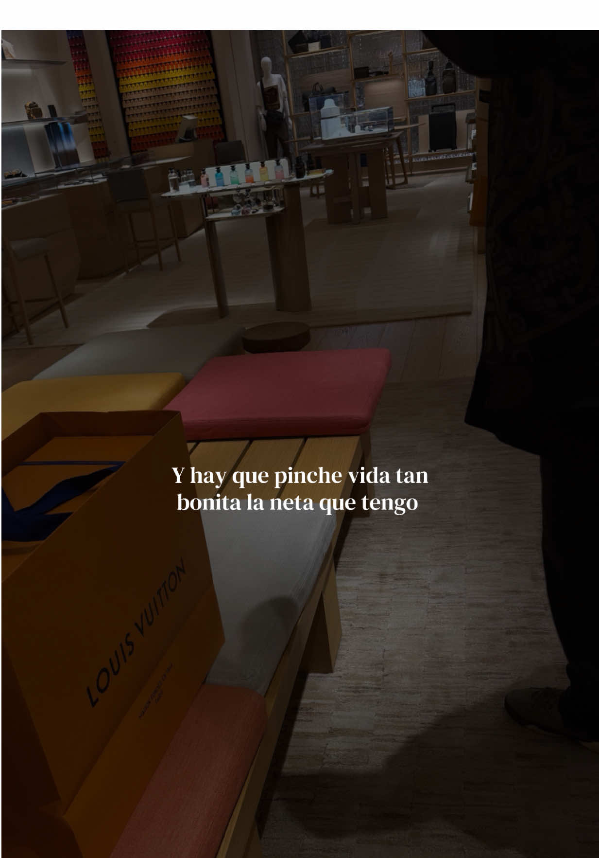 @xitlali ✨