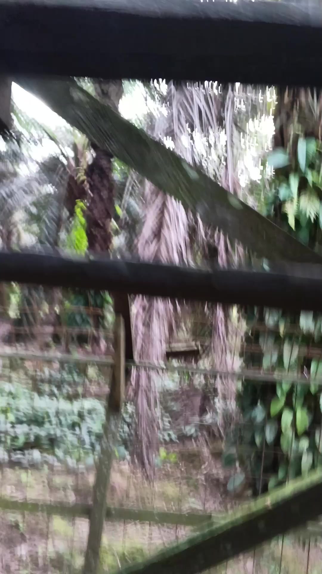 @Caesarius25